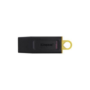 Memoria USB Kingston DataTraveler DTX Nero
