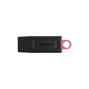 Memoria USB Kingston DataTraveler DTX Nero