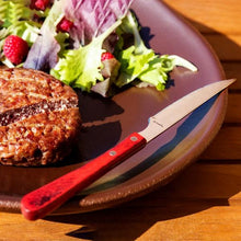 Carica l'immagine nel visualizzatore di Gallery, Coltello da Bistecca Amefa Brasero (24 cm) - New Shop Generation