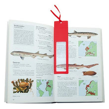Carica l'immagine nel visualizzatore di Gallery, Righello Lente d'ingrandimento (8 Cm) 143728 - New Shop Generation