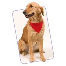 Carica l'immagine nel visualizzatore di Gallery, Collare con Bandana per Animali Domestici 143062 - New Shop Generation