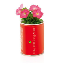 Carica l'immagine nel visualizzatore di Gallery, Vaso in Latta 143369 - New Shop Generation