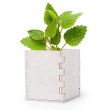 Carica l'immagine nel visualizzatore di Gallery, Set per la Semina Menta 146223 - New Shop Generation