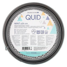 Carica l'immagine nel visualizzatore di Gallery, Stampo Removibile Quid Mint 24 x 6,8 cm - New Shop Generation