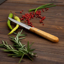 Carica l'immagine nel visualizzatore di Gallery, Coltello da chef Quid Carnivoro (20 cm) - New Shop Generation