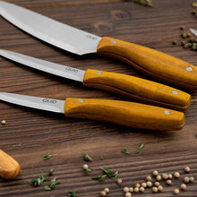 Carica l'immagine nel visualizzatore di Gallery, Coltello da Bistecca Quid Carnivoro (21,5 cm) - New Shop Generation