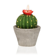 Carica l'immagine nel visualizzatore di Gallery, Candela Paraffina Cactus - New Shop Generation