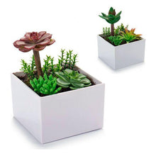 Carica l'immagine nel visualizzatore di Gallery, Vaso Plastica - New Shop Generation