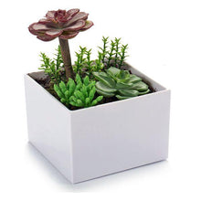 Carica l'immagine nel visualizzatore di Gallery, Vaso Plastica - New Shop Generation
