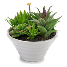 Carica l'immagine nel visualizzatore di Gallery, Vaso Plastica - New Shop Generation