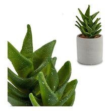 Carica l'immagine nel visualizzatore di Gallery, Cactus Plastica Cactus (7 x 14 x 7 cm) - New Shop Generation