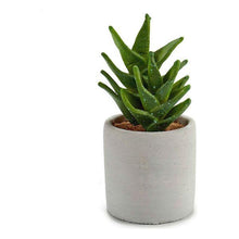 Carica l'immagine nel visualizzatore di Gallery, Cactus Plastica Cactus (7 x 14 x 7 cm) - New Shop Generation