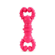 Carica l'immagine nel visualizzatore di Gallery, Giocattoli per Cani Silicone (12 x 2 x 4 cm) - New Shop Generation