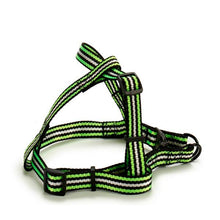 Carica l'immagine nel visualizzatore di Gallery, Cinghia New Comers Dungi (3 x 27 x 16 cm) - New Shop Generation