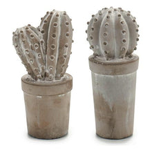 Carica l'immagine nel visualizzatore di Gallery, Statua Decorativa Cactus Pietra (7 x 17 x 8 cm) - New Shop Generation