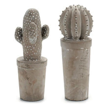 Carica l'immagine nel visualizzatore di Gallery, Cactus Pietra Cemento (11 x 28 x 11 cm) - New Shop Generation