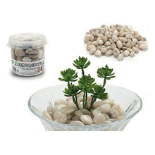 Carica l'immagine nel visualizzatore di Gallery, Contenitore Pietra (11,5 x 10 x 11,5 cm) - New Shop Generation