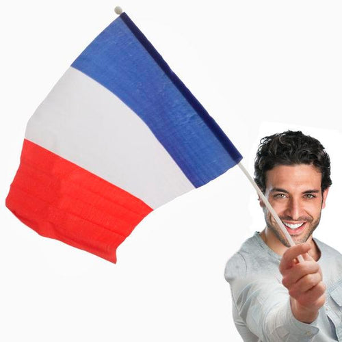 Bandiera della Francia con Asta (46 x 30 cm) - New Shop Generation