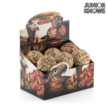 Carica l'immagine nel visualizzatore di Gallery, Palla Fossile Junior Knows - New Shop Generation